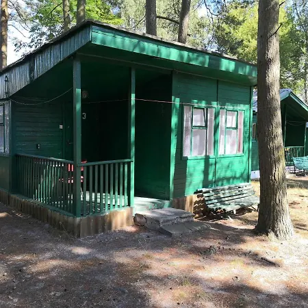 Letniskowe Delfin Orman Evi