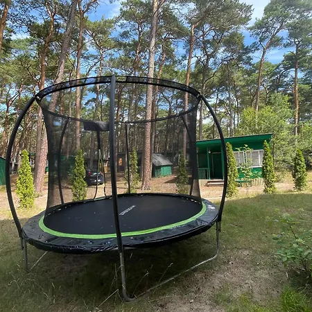 Letniskowe Delfin 山林小屋