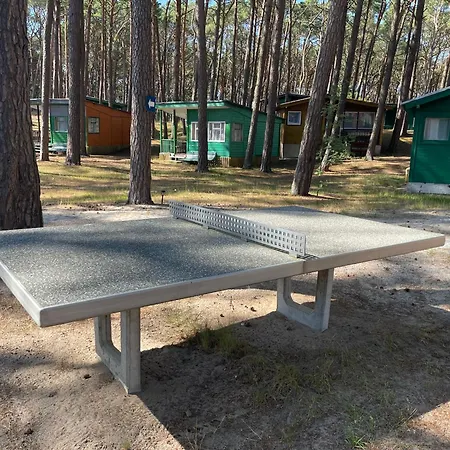 Letniskowe Delfin Lodge *