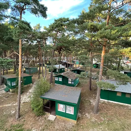 Orman Evi Letniskowe Delfin