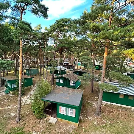 Lodge Letniskowe Delfin Mrzezyno