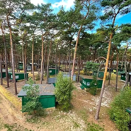 Letniskowe Delfin Lodge *