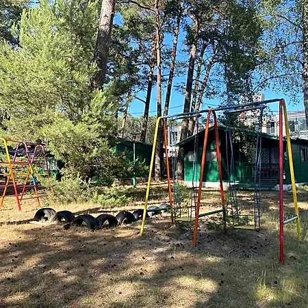 Letniskowe Delfin Lodge *