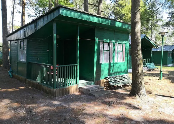 Letniskowe Delfin Lodge