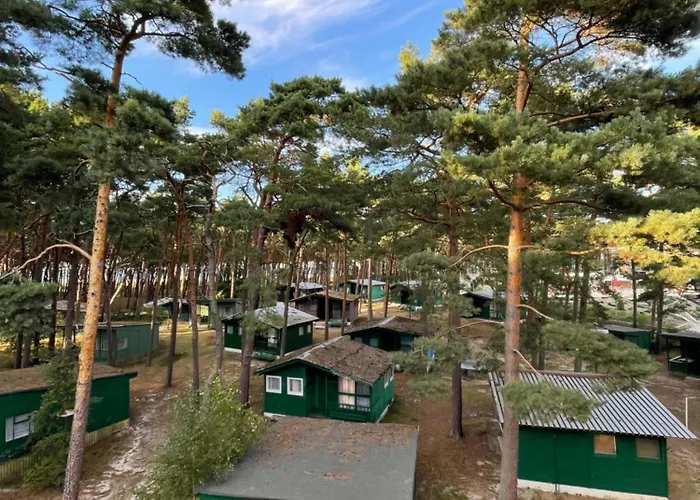 Letniskowe Delfin ميجيجنو