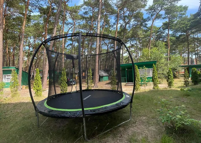 Letniskowe Delfin Lodge