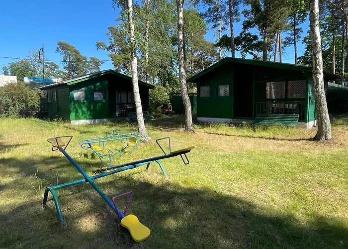 Letniskowe Delfin Lodge