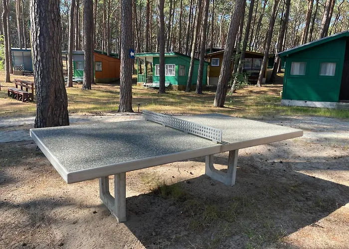 Letniskowe Delfin Lodge *