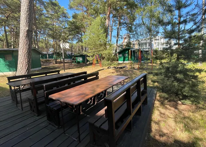 Letniskowe Delfin * ميجيجنو